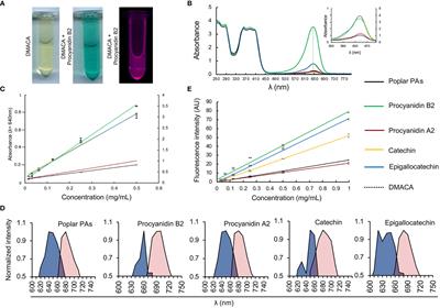 Fluorogenic properties of 4-dimethylaminocinnamaldehyde (DMACA) enable high resolution imaging of cell-wall-bound proanthocyanidins in plant root tissues